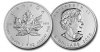Canadian Silver (Maples)