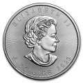 2020 1 oz .9999 Silver Canadian Maple Leaf